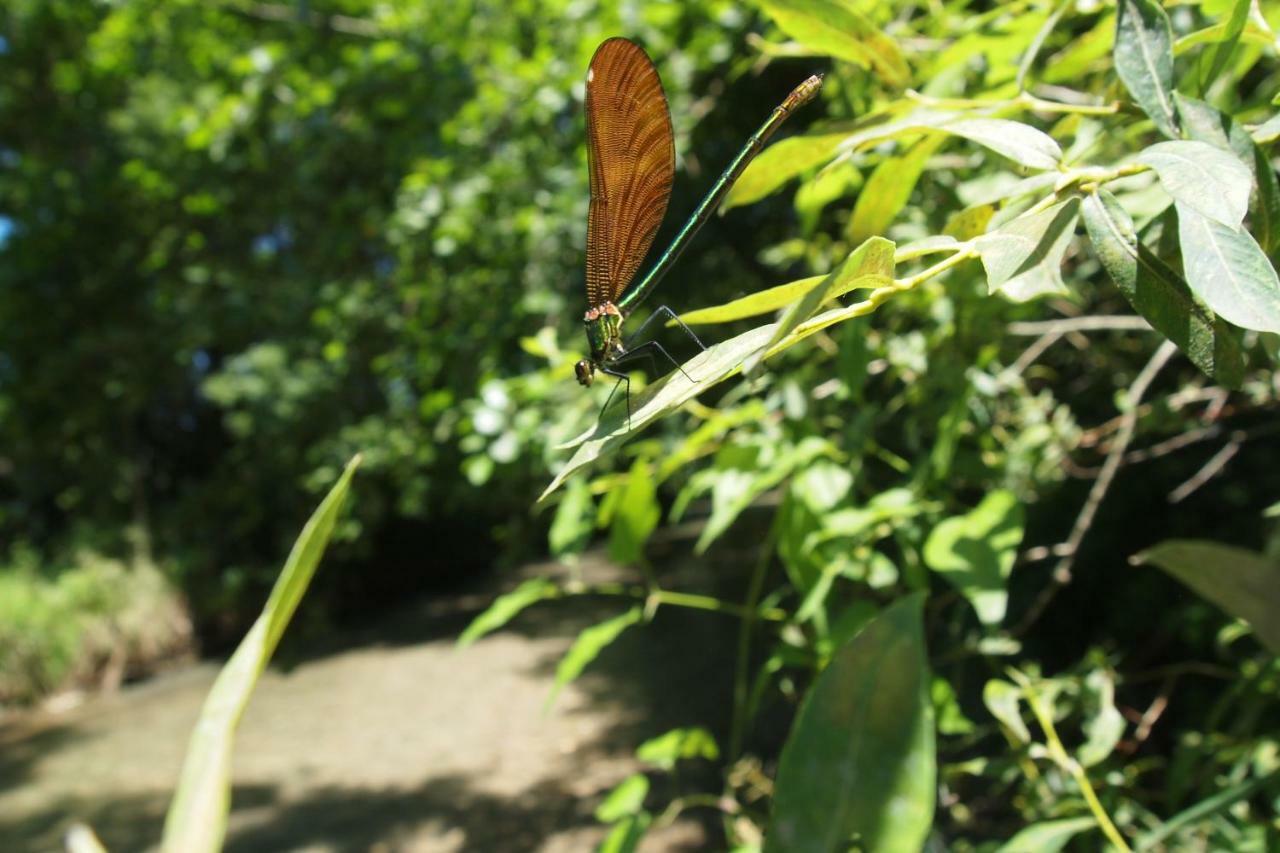 Les Pieds Dans L'eau: Gervanne - Privee Blacons